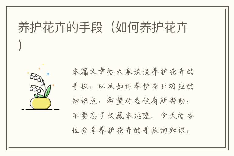 养护花卉的手段（如何养护花卉）