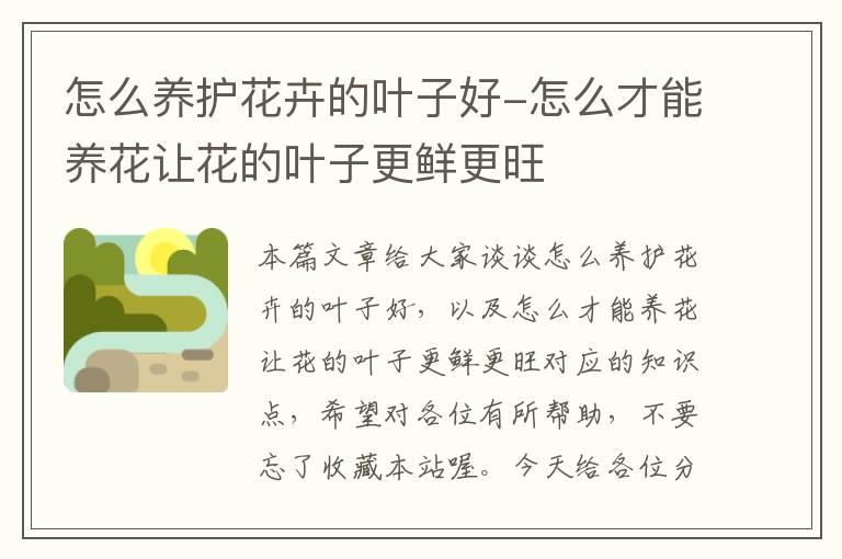 怎么养护花卉的叶子好-怎么才能养花让花的叶子更鲜更旺