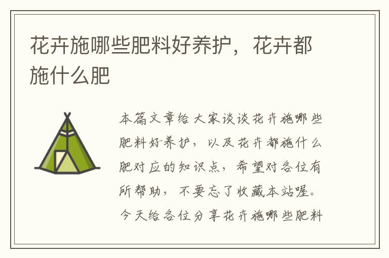 花卉施哪些肥料好养护，花卉都施什么肥