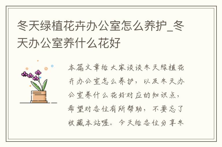 冬天绿植花卉办公室怎么养护_冬天办公室养什么花好