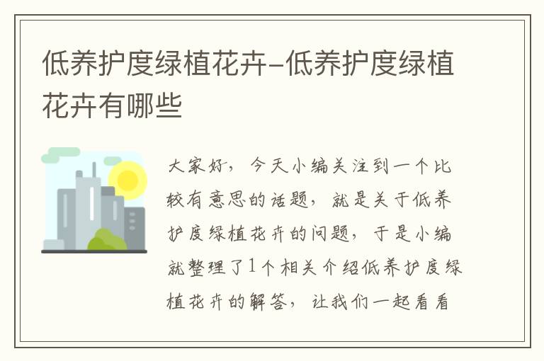 低养护度绿植花卉-低养护度绿植花卉有哪些