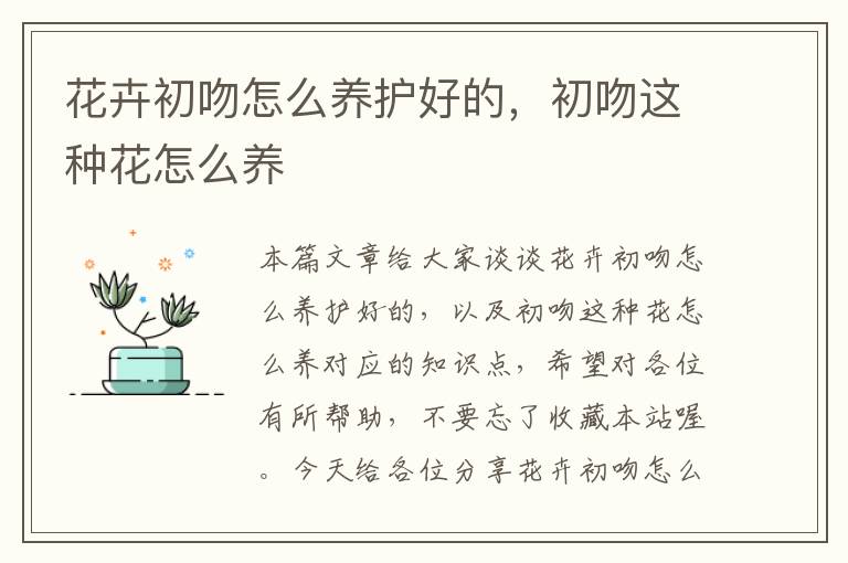 花卉初吻怎么养护好的，初吻这种花怎么养