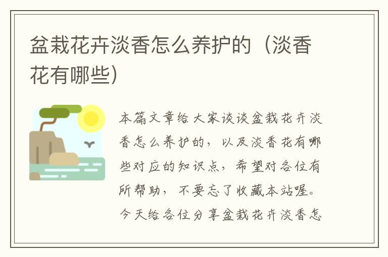 盆栽花卉淡香怎么养护的（淡香花有哪些）