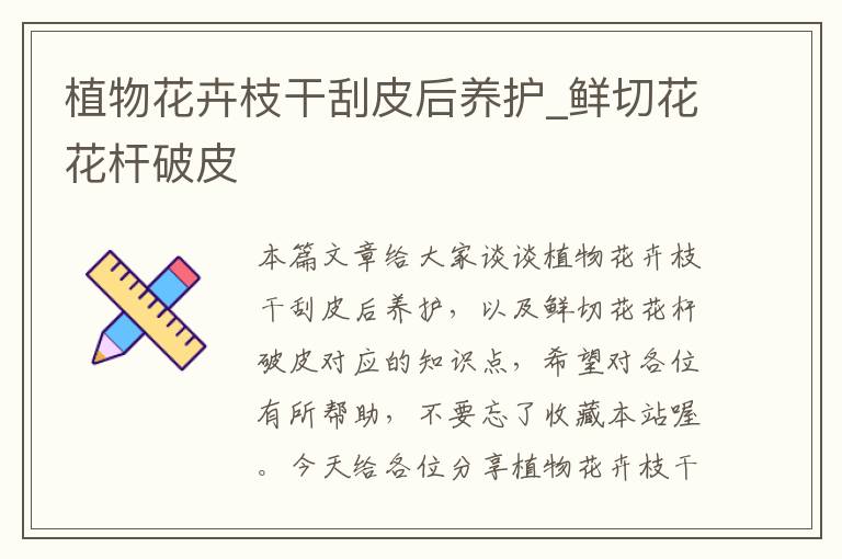 植物花卉枝干刮皮后养护_鲜切花花杆破皮