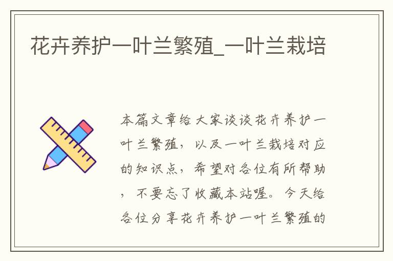 花卉养护一叶兰繁殖_一叶兰栽培