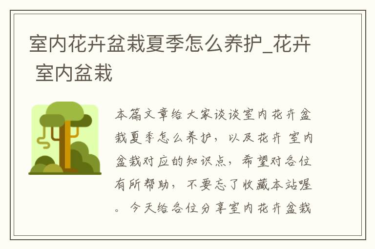 室内花卉盆栽夏季怎么养护_花卉 室内盆栽