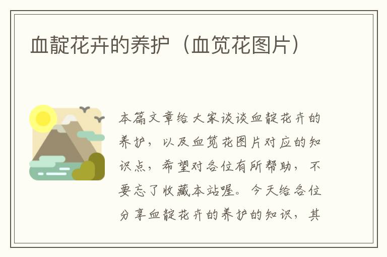 血靛花卉的养护（血笕花图片）