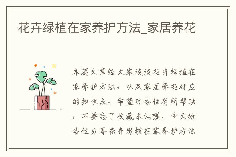 花卉绿植在家养护方法_家居养花