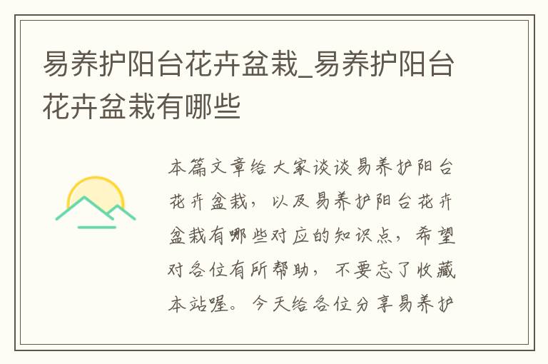 易养护阳台花卉盆栽_易养护阳台花卉盆栽有哪些