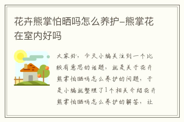 花卉熊掌怕晒吗怎么养护-熊掌花在室内好吗