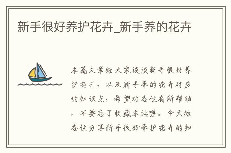 新手很好养护花卉_新手养的花卉