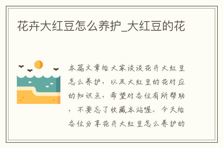 花卉大红豆怎么养护_大红豆的花