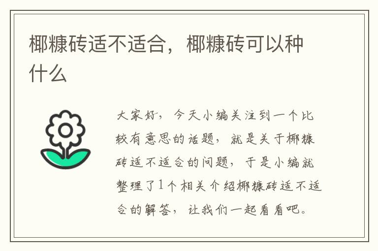 椰糠砖适不适合，椰糠砖可以种什么