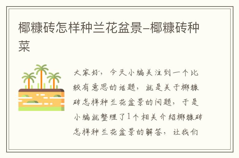 椰糠砖怎样种兰花盆景-椰糠砖种菜