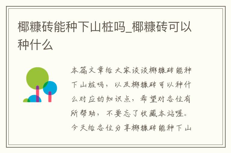 椰糠砖能种下山桩吗_椰糠砖可以种什么