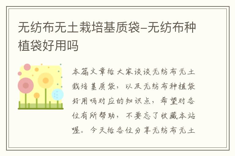 无纺布无土栽培基质袋-无纺布种植袋好用吗