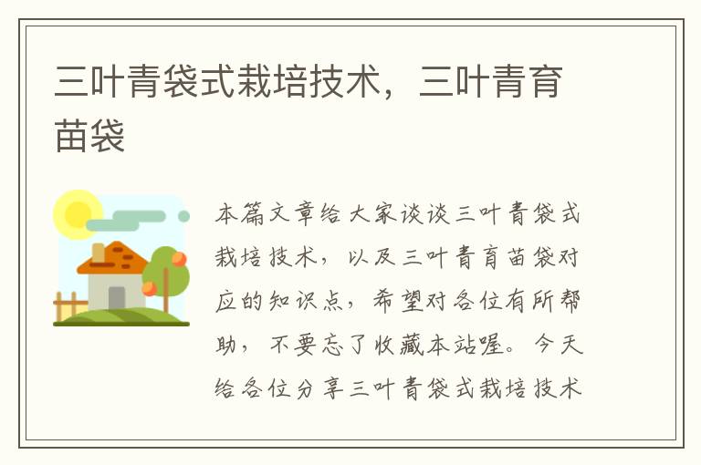 三叶青袋式栽培技术，三叶青育苗袋