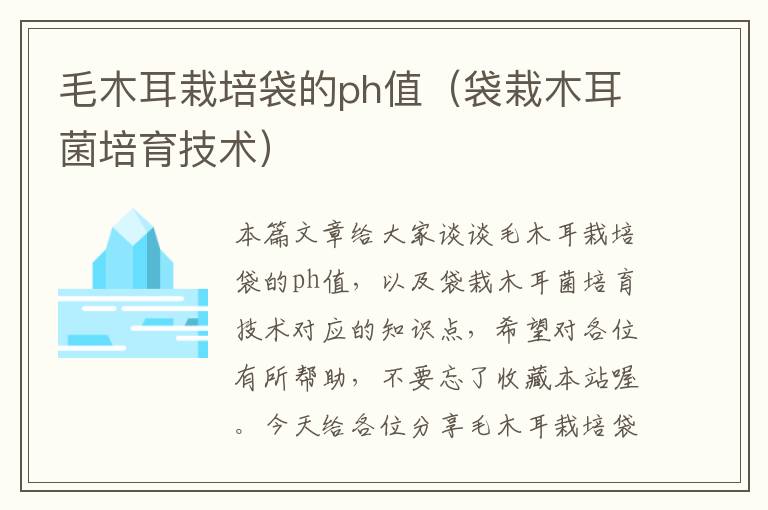 毛木耳栽培袋的ph值（袋栽木耳菌培育技术）