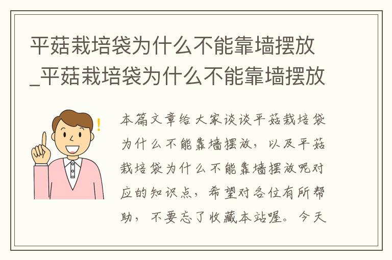 平菇栽培袋为什么不能靠墙摆放_平菇栽培袋为什么不能靠墙摆放呢