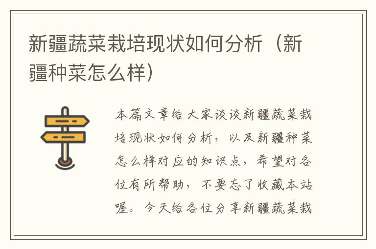新疆蔬菜栽培现状如何分析（新疆种菜怎么样）
