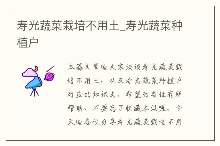 寿光蔬菜栽培不用土_寿光蔬菜种植户