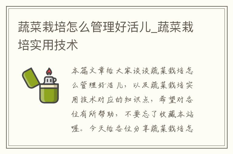 蔬菜栽培怎么管理好活儿_蔬菜栽培实用技术