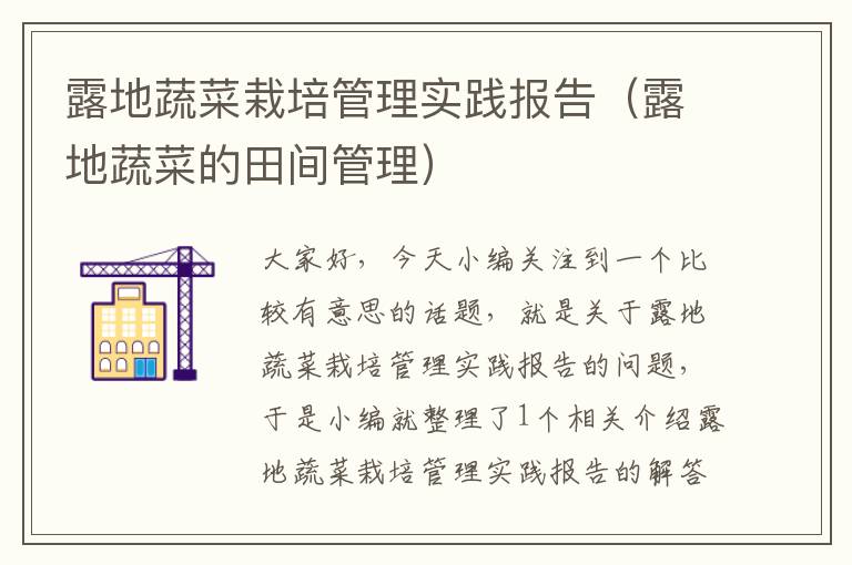 露地蔬菜栽培管理实践报告（露地蔬菜的田间管理）