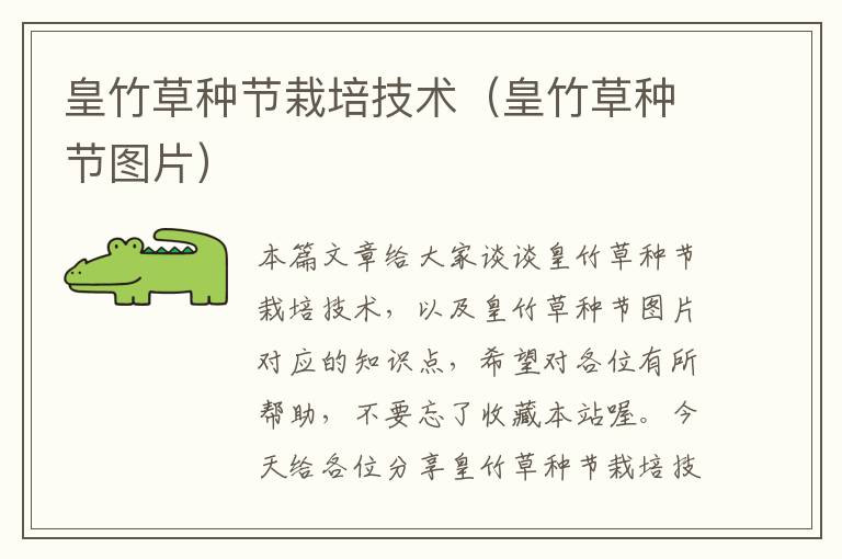 皇竹草种节栽培技术（皇竹草种节图片）