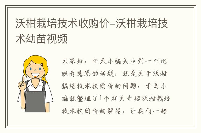 沃柑栽培技术收购价-沃柑栽培技术幼苗视频