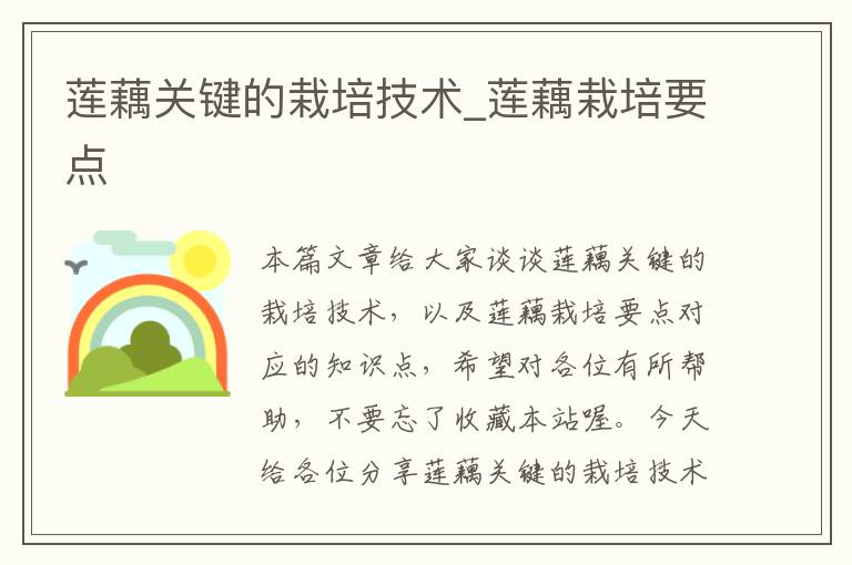 莲藕关键的栽培技术_莲藕栽培要点