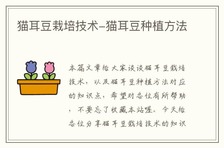猫耳豆栽培技术-猫耳豆种植方法