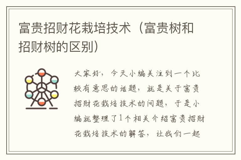 富贵招财花栽培技术（富贵树和招财树的区别）