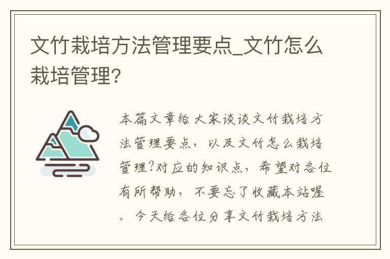 文竹栽培方法管理要点_文竹怎么栽培管理?