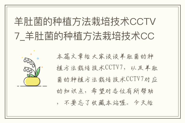 羊肚菌的种植方法栽培技术CCTV7_羊肚菌的种植方法栽培技术CCTV7