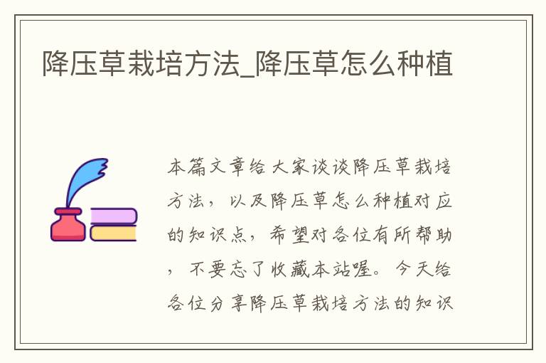 降压草栽培方法_降压草怎么种植