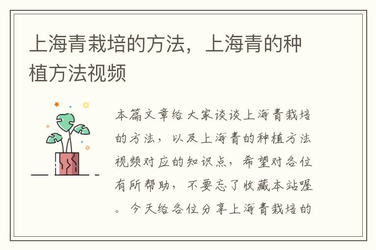 上海青栽培的方法，上海青的种植方法视频
