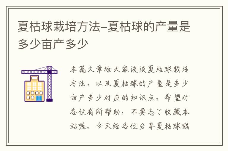 夏枯球栽培方法-夏枯球的产量是多少亩产多少