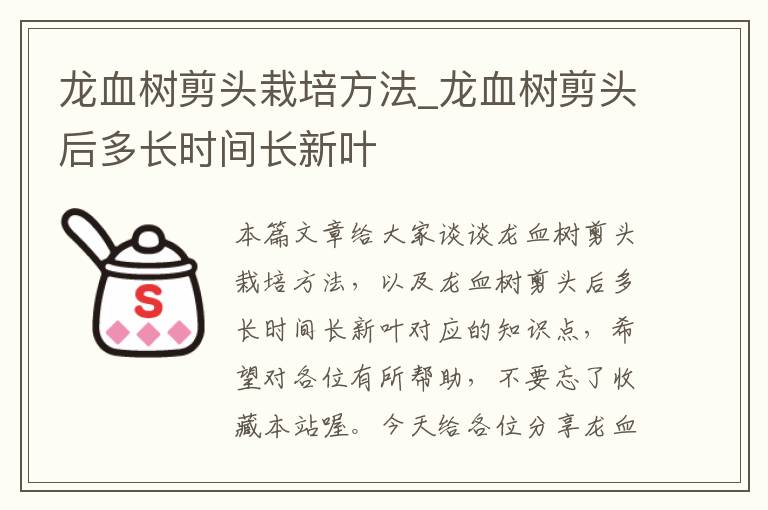 龙血树剪头栽培方法_龙血树剪头后多长时间长新叶