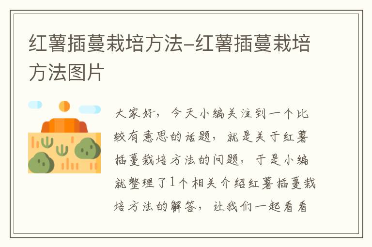 红薯插蔓栽培方法-红薯插蔓栽培方法图片