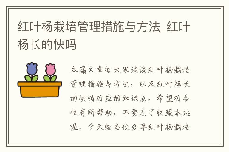 红叶杨栽培管理措施与方法_红叶杨长的快吗