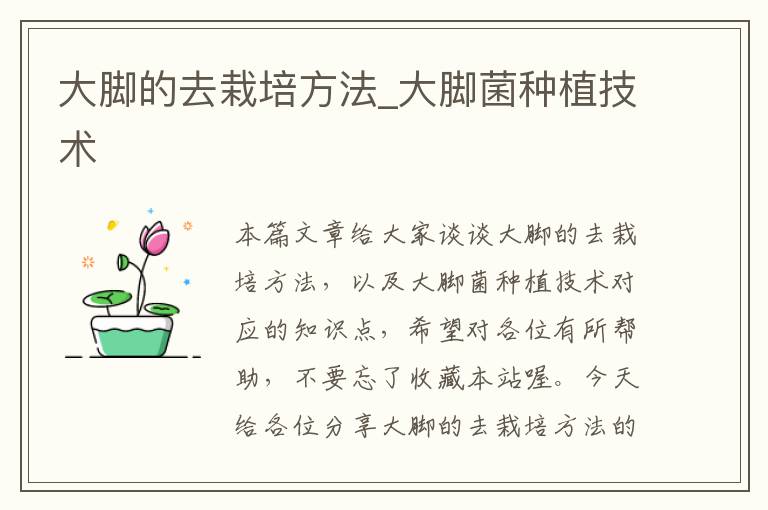 大脚的去栽培方法_大脚菌种植技术