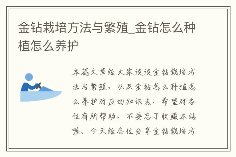 金钻栽培方法与繁殖_金钻怎么种植怎么养护