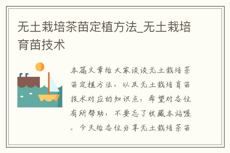 无土栽培茶苗定植方法_无土栽培育苗技术