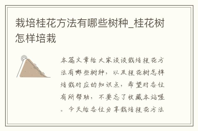 栽培桂花方法有哪些树种_桂花树怎样培栽