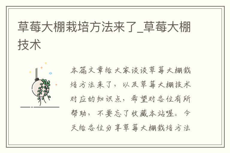 草莓大棚栽培方法来了_草莓大棚技术