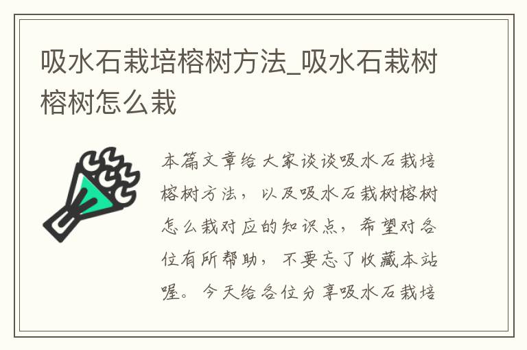 吸水石栽培榕树方法_吸水石栽树榕树怎么栽