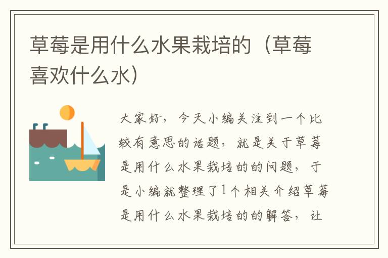草莓是用什么水果栽培的（草莓喜欢什么水）
