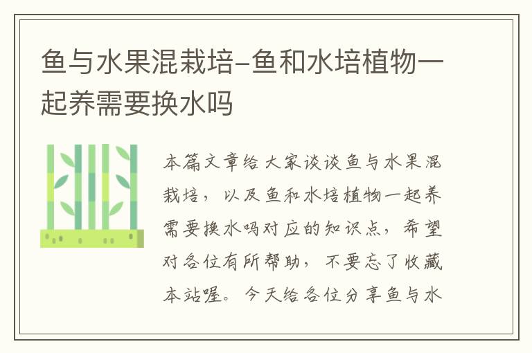 鱼与水果混栽培-鱼和水培植物一起养需要换水吗