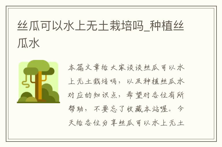 丝瓜可以水上无土栽培吗_种植丝瓜水